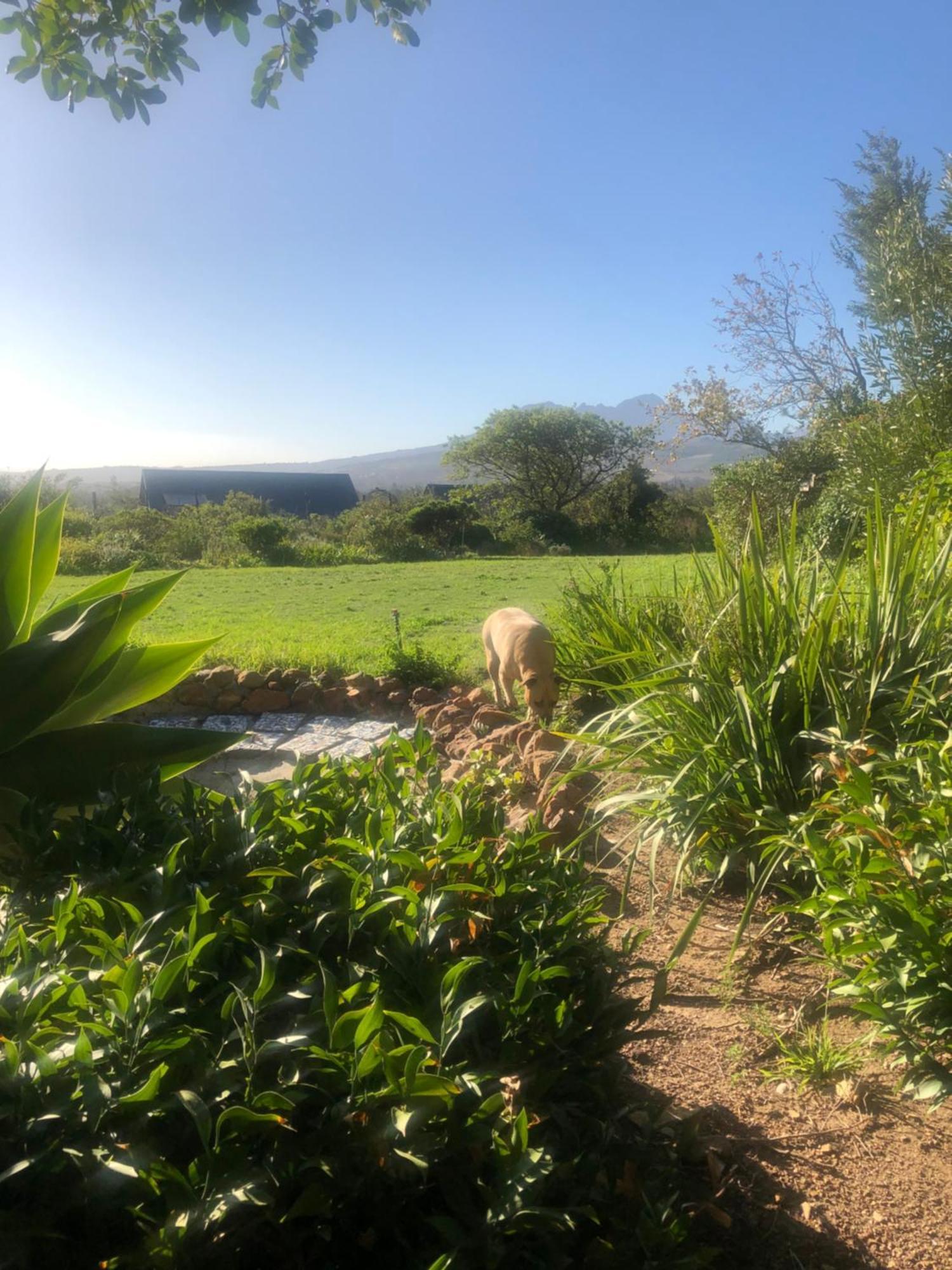 Watermill Studios Gordonʼs Bay Εξωτερικό φωτογραφία